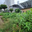 부영1차 아파트 앞 이미지