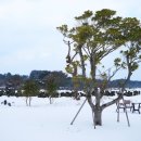 어쿠스틱홈즈 이미지