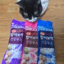 무스 | [15살 노령묘 땅콩이의 최애 간식] 밥이보약 건강무스 후기