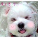 돌마리어린이집