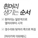 큐사랑원주단계점