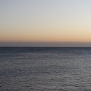 플로리다 대탄 이미지