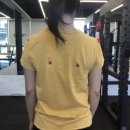 GymSH 퍼스널트레이닝 이미지