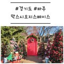 [경기도/파주] &#39;막스시오지스페이스&#39; 트리가 예쁜 베이커리 카페 주말 방문 후기