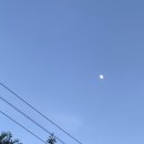 초여름의 시작🍀