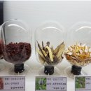 바로봄한의원 이미지