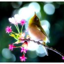 추억속으로 이미지