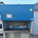 크린코리아 이미지