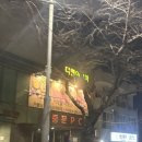 제주 서귀포 마사지 <더웰아로마> 아로마/산전 마사지 후기