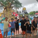 용인대 대호 태권도 이미지