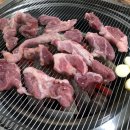 동백아나고 이미지