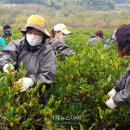 아리랑축산 이미지
