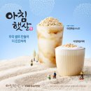 아침햇살 이미지