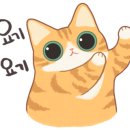 부동산25시 공인중개사사무소 이미지