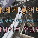 붕어랑메기랑 이미지