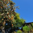 뜬봉샘농장 이미지