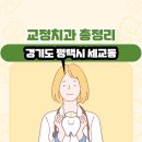 조수현치과의원 | 경기도 평택시 세교동 교정치과 총정리