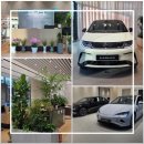 1675 | 청주 BYD 전기차 전시장 방문, 씨라이언7 시승하고 온 솔직한 후기