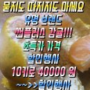 제주 타이팩 감귤 10키로 19000 원 무료배송 이미지