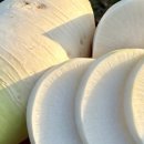 맛있는간편요리 이미지