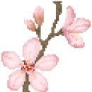 아띠(ATTI)