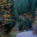 남해펜션타운 이미지