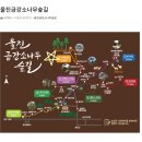 울진 금강소나무숲길 가족탐방로 탐방 후기