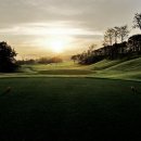 알프스대영CC 이미지