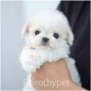 몽글몽글 이미지