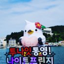 [통영 대도요양보호사교육원]2023 투나잇 통영! 나이트 프린지 후기