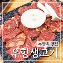 녹양동 맛집 우향생고기 메밀막국수 의정부점 가족모임 아이랑 식당 추천(아기의자 있음)