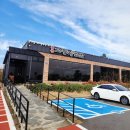 신화농장 | 제주 신화월드 맛집에서 무료로 감귤체험까지 한 후기