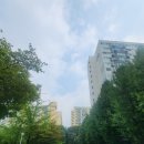 중평초교 | 서울원, 미미삼, 현대우성 임장기 with 부동산감별사님