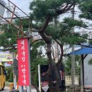 대관령가는길 이미지