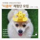 더콤마 - 동대문구 안암로22길 13-6 | 더콤마