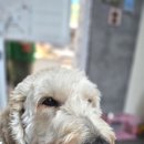 진현우동물병원 이미지