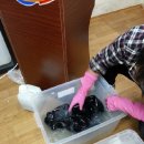 다이야몬드 크리닝 이미지