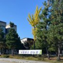 동경기인삼농협 이천인삼판매센터 이미지