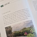 웰테라피 - 음성군 | 웰테라피