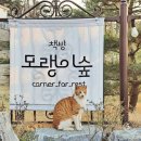 충남 아산 시골 속 독립서점 &#39;모랭이숲&#39; - 프라이빗 공간 이용 후기