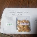 신다송
