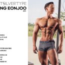 소프트 실버타입 이미지