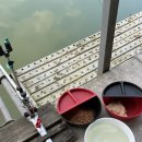 호암낚시터 이미지