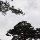 서부관광주유소 이미지