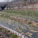 백운동계곡펜션 이미지