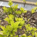 나를사랑하는글쓰기 이미지