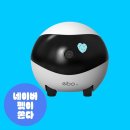[리뷰] 강아지 고양이 분리불안 필수템! 자동충전 이동식 CCTV 홈캠 이보SE(EBO) 솔직 후기 🐶🐱