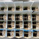 병아리김밥부평청천그랑힐스점