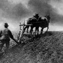 피터헨리 애머슨(Peter Herry Emerson, 1856-1936)의 자연주의사진 ‘쟁기질’ 이미지