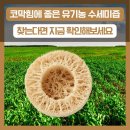 명지대학교 산학협력단 | 코막힘에 좋은 유기농 수세미즙 찾는다면 지금 확인해 보세요